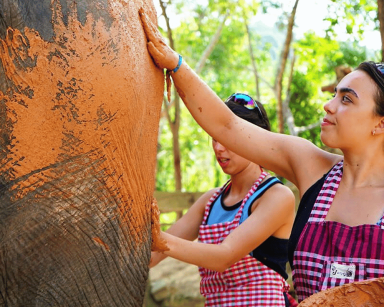 Sunset Paradise Tour Elephant Wildlife Sanctuary - 1000x800 high resolution 1