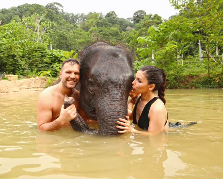 Sunset Paradise Tour Elephant Wildlife Sanctuary - 1000x800 high resolution 2