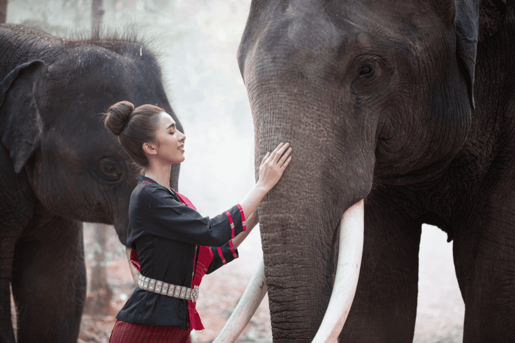 Phuket Elephant Wildlife Sanctuary