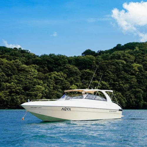 Sunset Paradise Tour - Speedboat and Cruiseboat- High Resolution 500x500 8